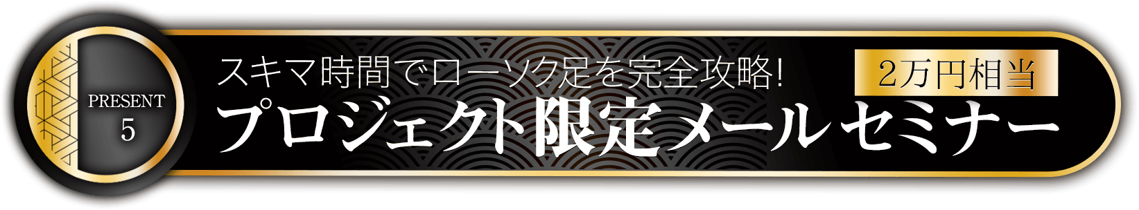 特典5スキマ時間でローソク足を完全攻略！プロジェクト限定メールセミナー【全10回】（2万円相当）